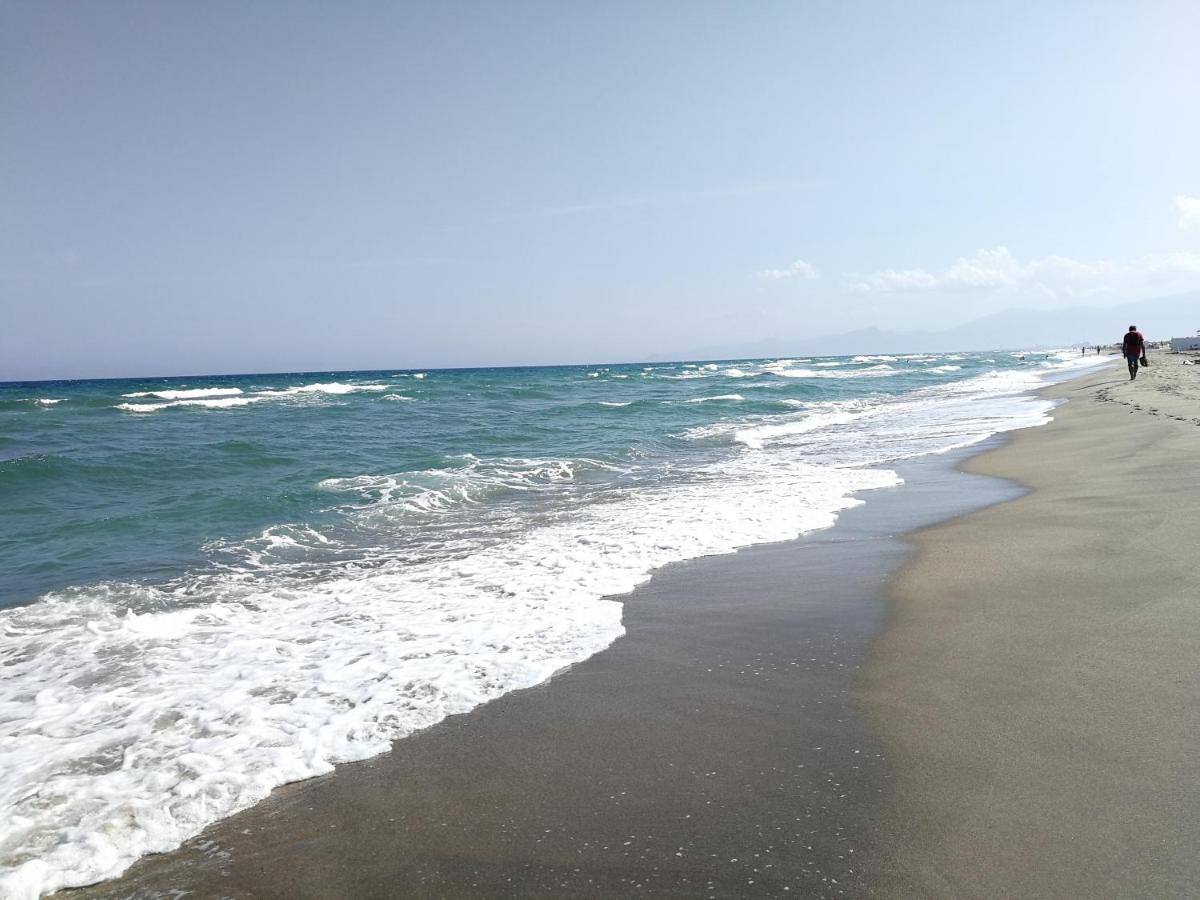 Agreable Studio 50M De La Plage 卡内 外观 照片
